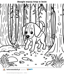 Beagle węszy trop w lesie — kolorowanka do wydruku dla dzieci