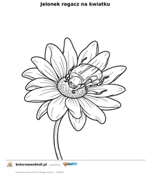Jelonek rogacz na kwiatku — kolorowanka do wydruku dla dzieci
