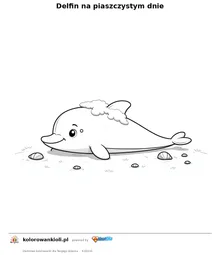 Delfin na piaszczystym dnie — kolorowanka do wydruku dla dzieci