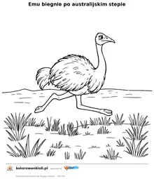 Emu biegnie po australijskim stepie — kolorowanka do wydruku dla dzieci