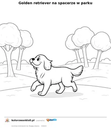 Golden retriever na spacerze w parku — kolorowanka do wydruku dla dzieci