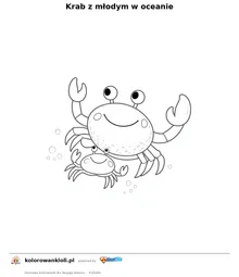 Krab z młodym w oceanie — kolorowanka do wydruku dla dzieci