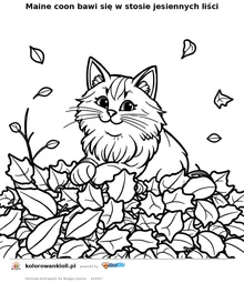 Maine coon bawi się w stosie jesiennych liści — kolorowanka do wydruku dla dzieci