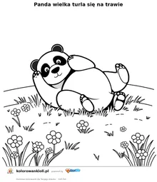 Panda wielka turla się na trawie — kolorowanka do wydruku dla dzieci