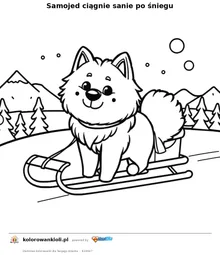 Samojed ciągnie sanie po śniegu — kolorowanka do wydruku dla dzieci