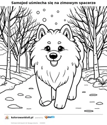 Samojed uśmiecha się na zimowym spacerze — kolorowanka do wydruku dla dzieci