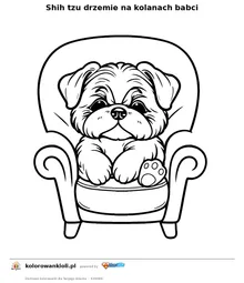 Shih tzu drzemie na kolanach babci — kolorowanka do wydruku dla dzieci