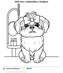 Shih tzu z kokardką u fryzjera — kolorowanka do wydruku dla dzieci