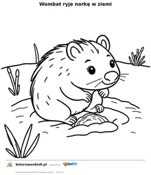 Wombat ryje norkę w ziemi — kolorowanka do wydruku dla dzieci