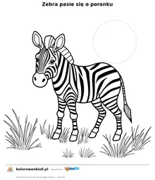Zebra pasie się o poranku — kolorowanka do wydruku dla dzieci
